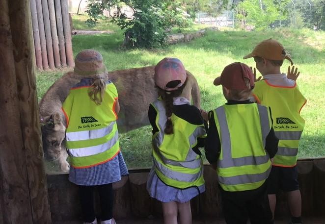Class One had the most wonderful day at Paignton Zoo furthering their 'Understanding of the World' learning!