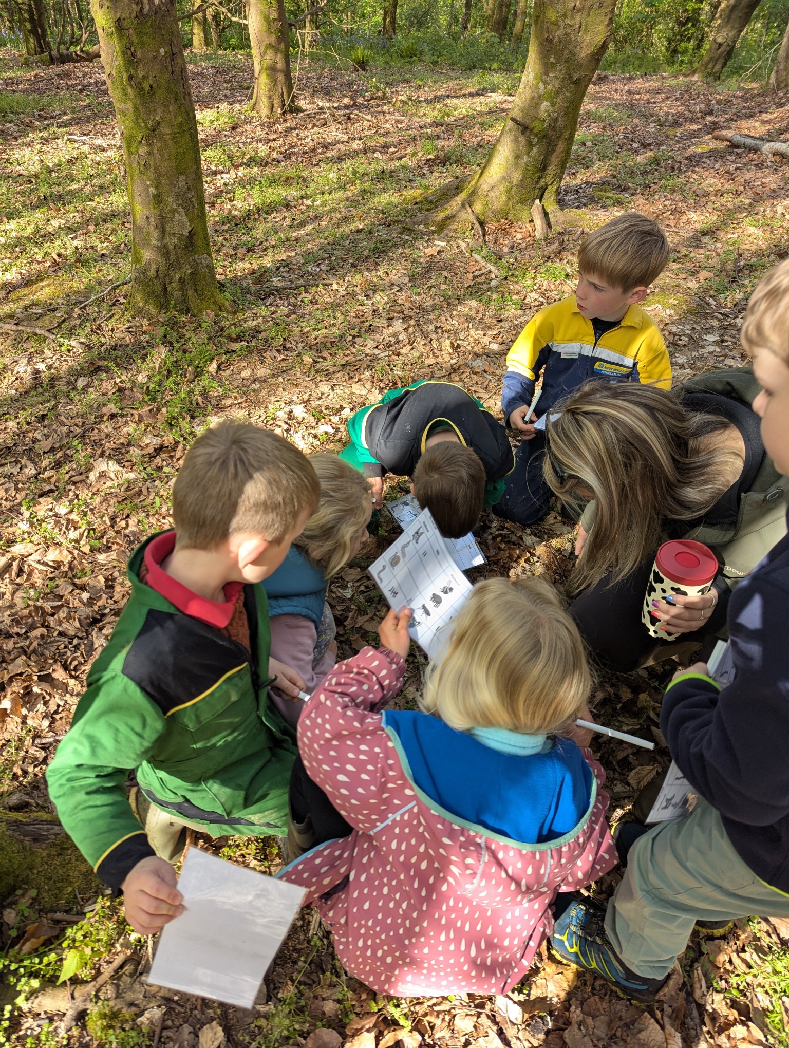 Forest School
