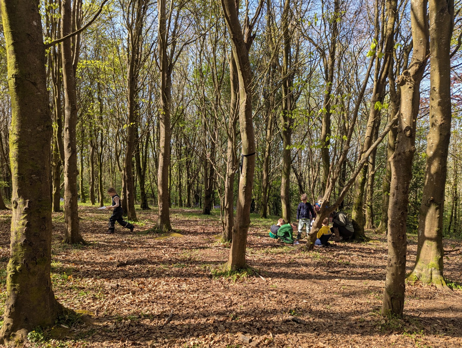 Forest School