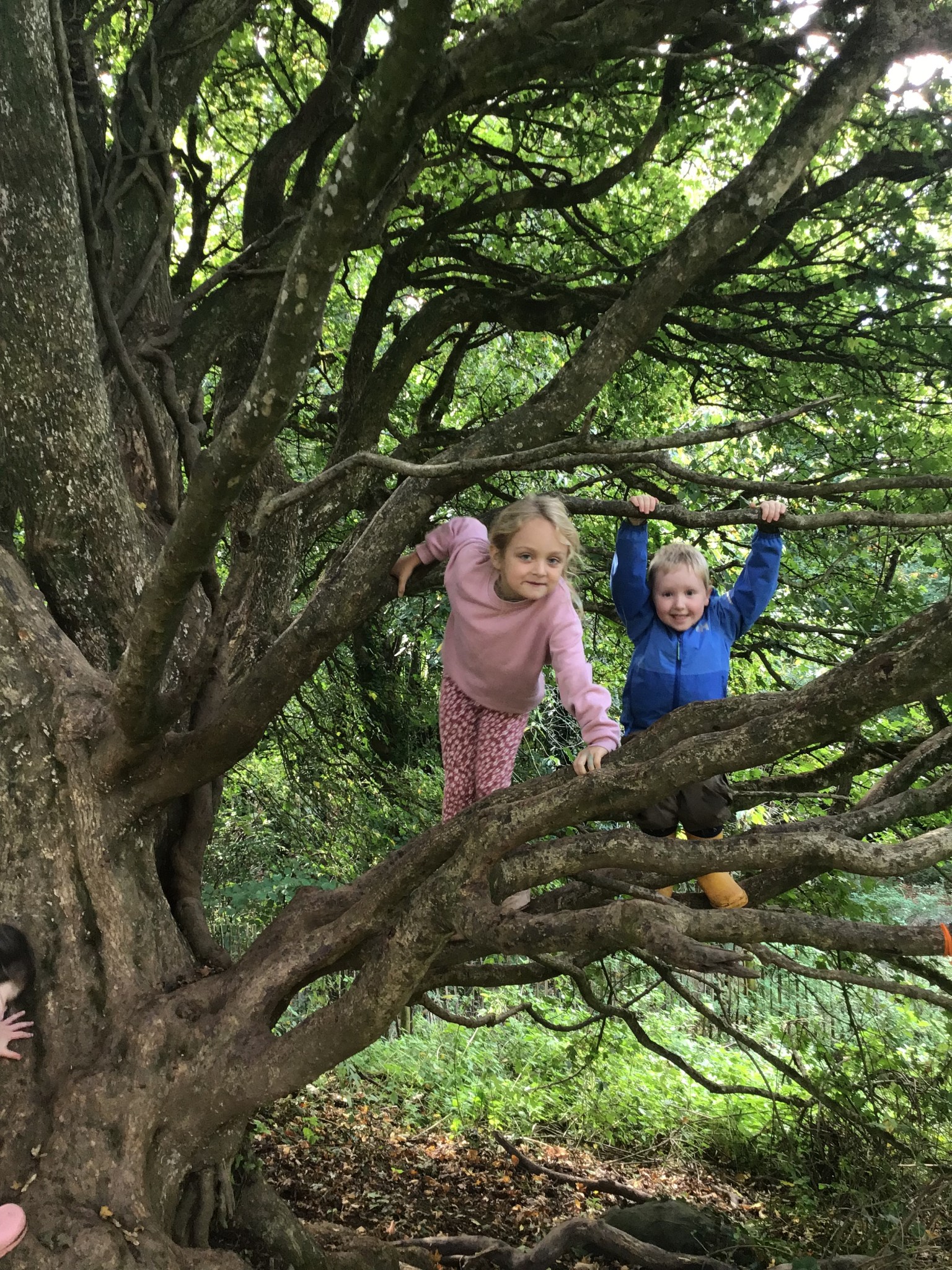 Forest school