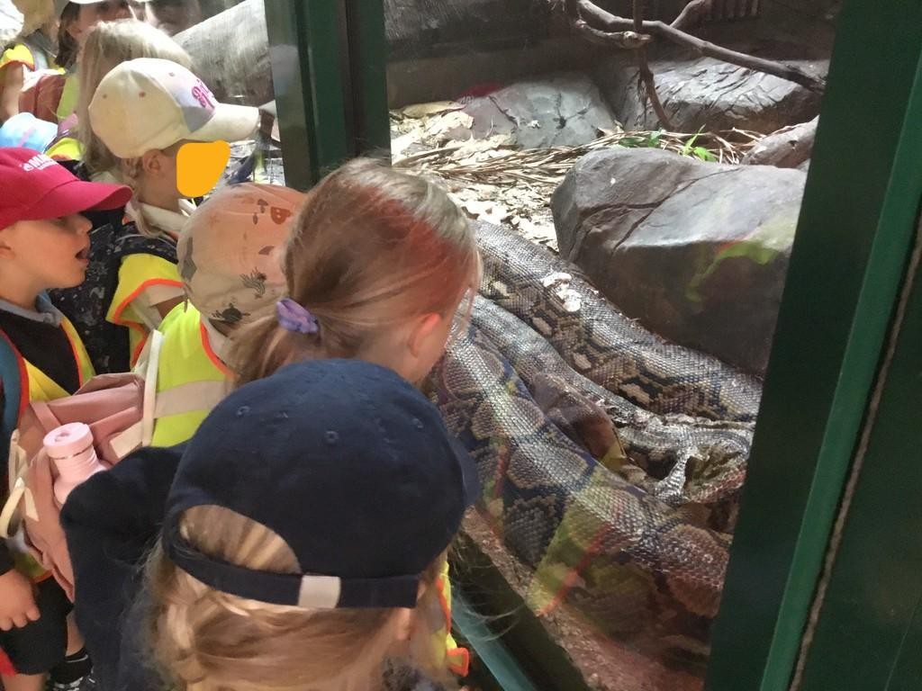 Class One had the most wonderful day at Paignton Zoo furthering their 'Understanding of the World' learning!