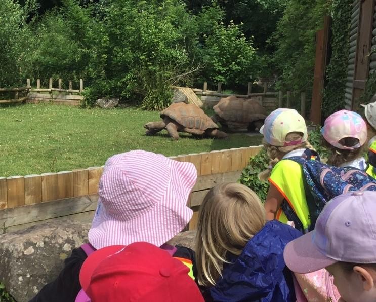 Class One had the most wonderful day at Paignton Zoo furthering their 'Understanding of the World' learning!