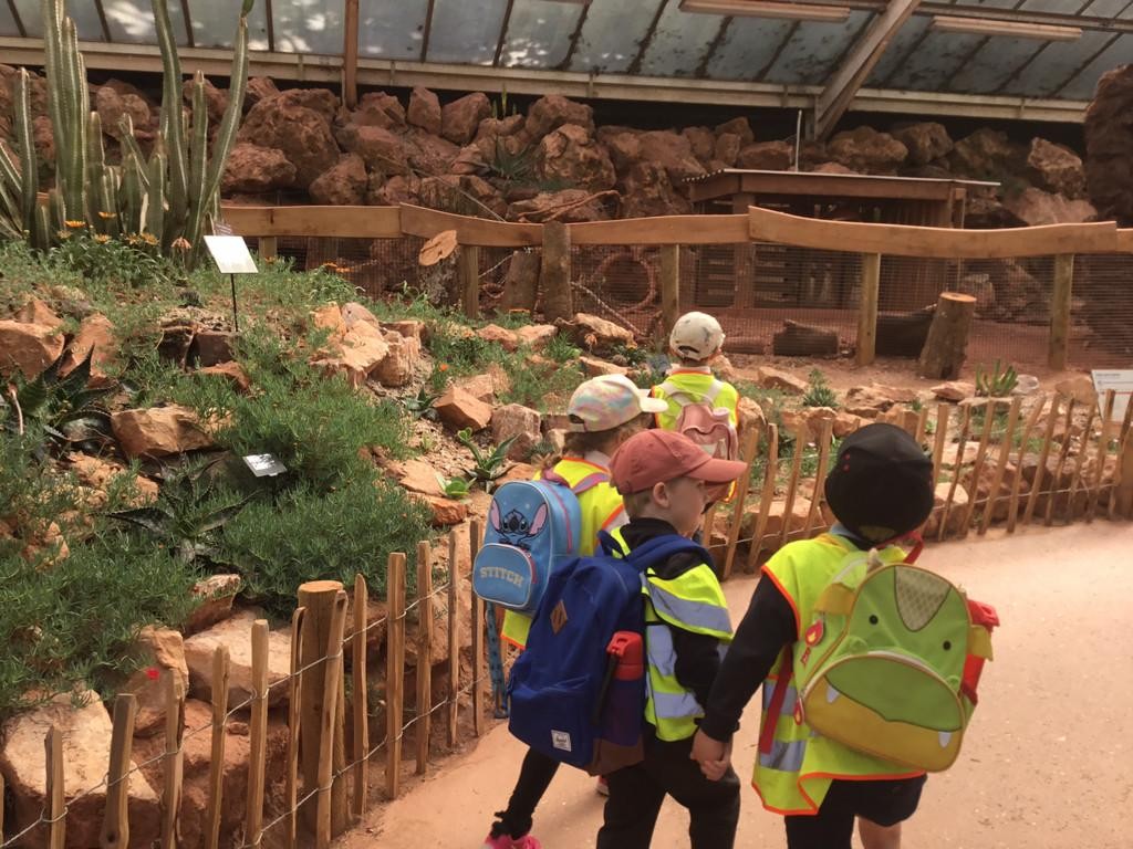 Class One had the most wonderful day at Paignton Zoo furthering their 'Understanding of the World' learning!