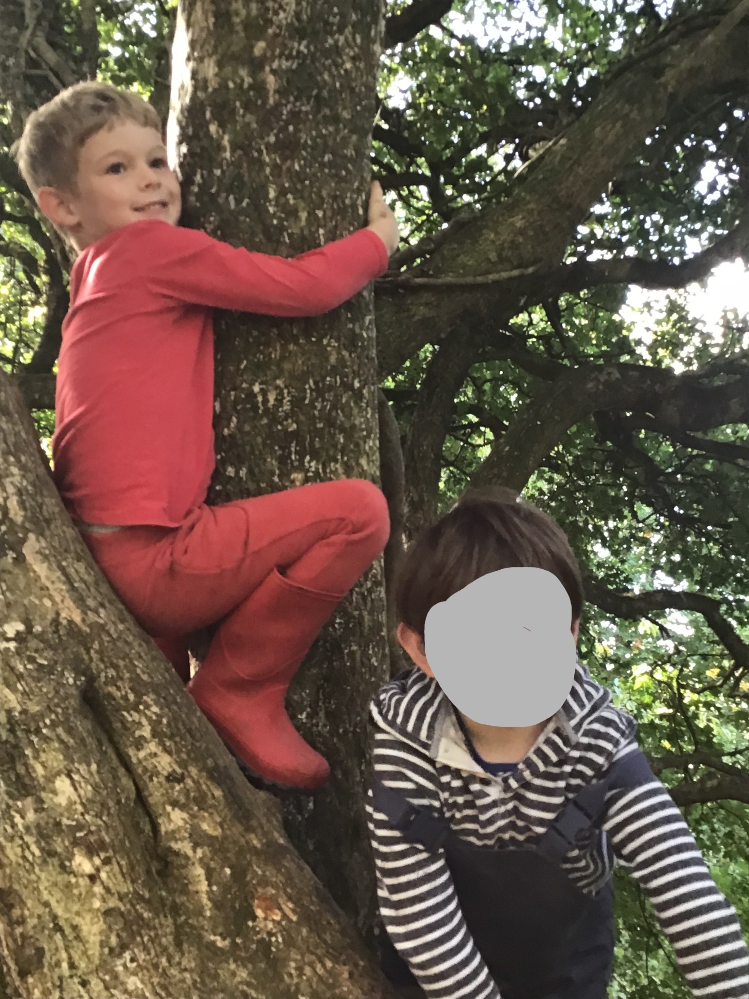 Forest school
