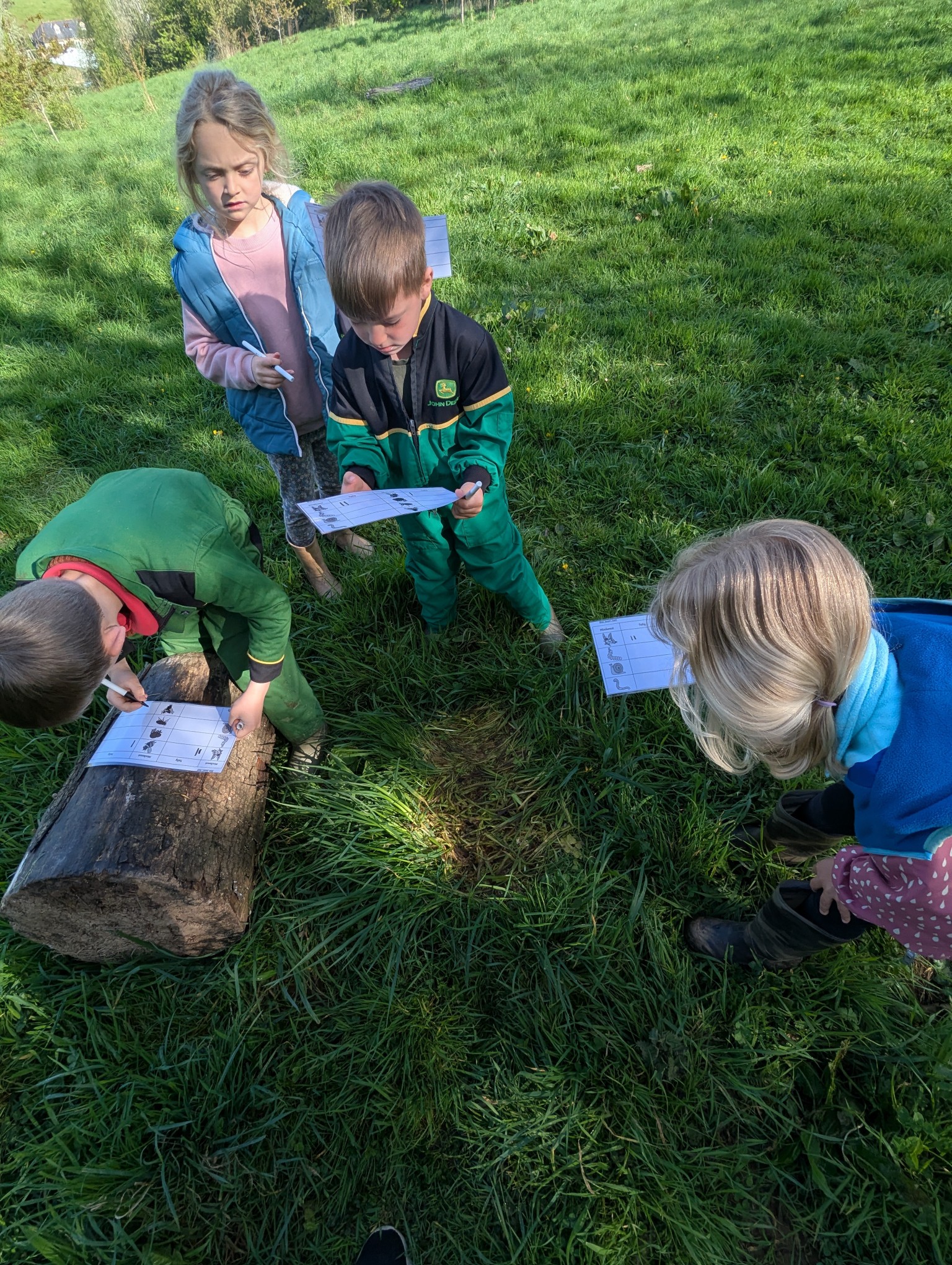 Forest School