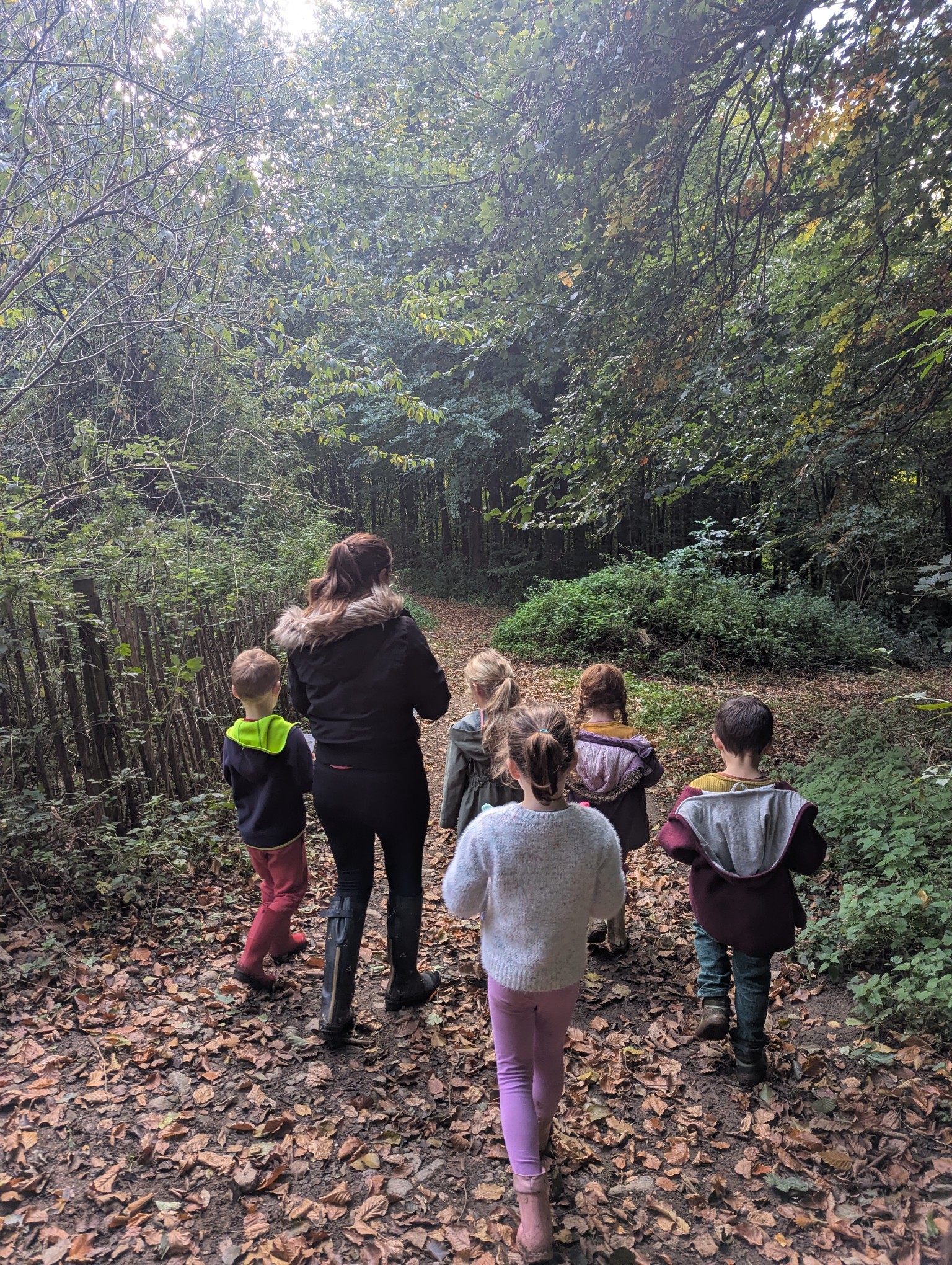 Forest school
