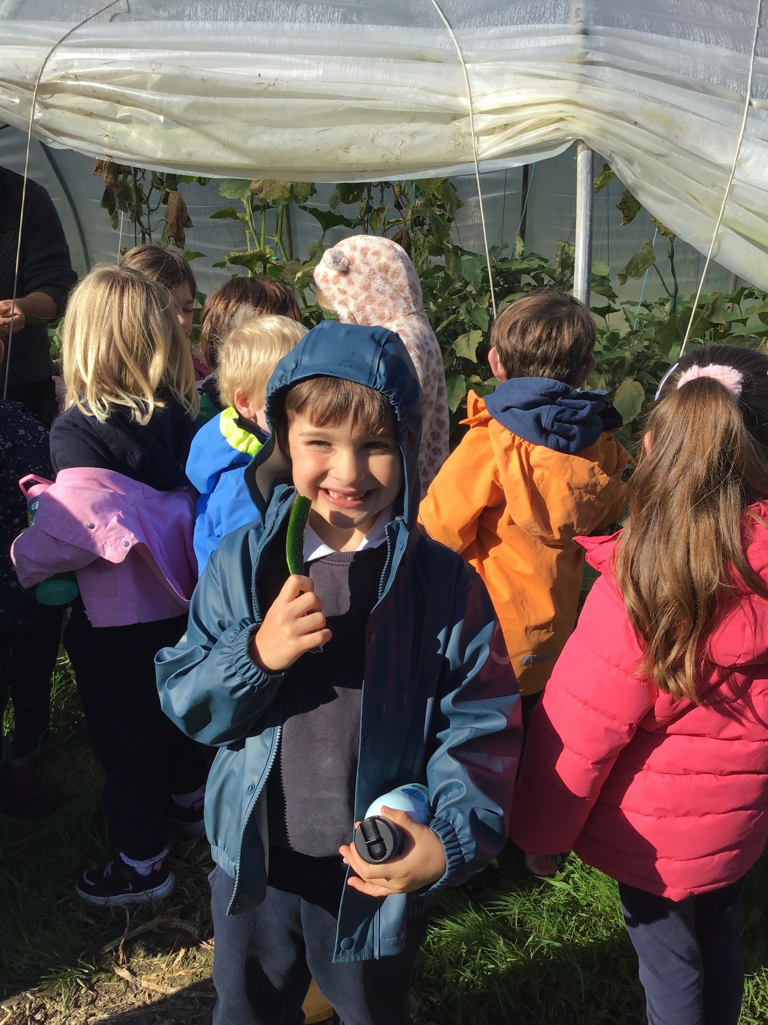 apple picking 2025