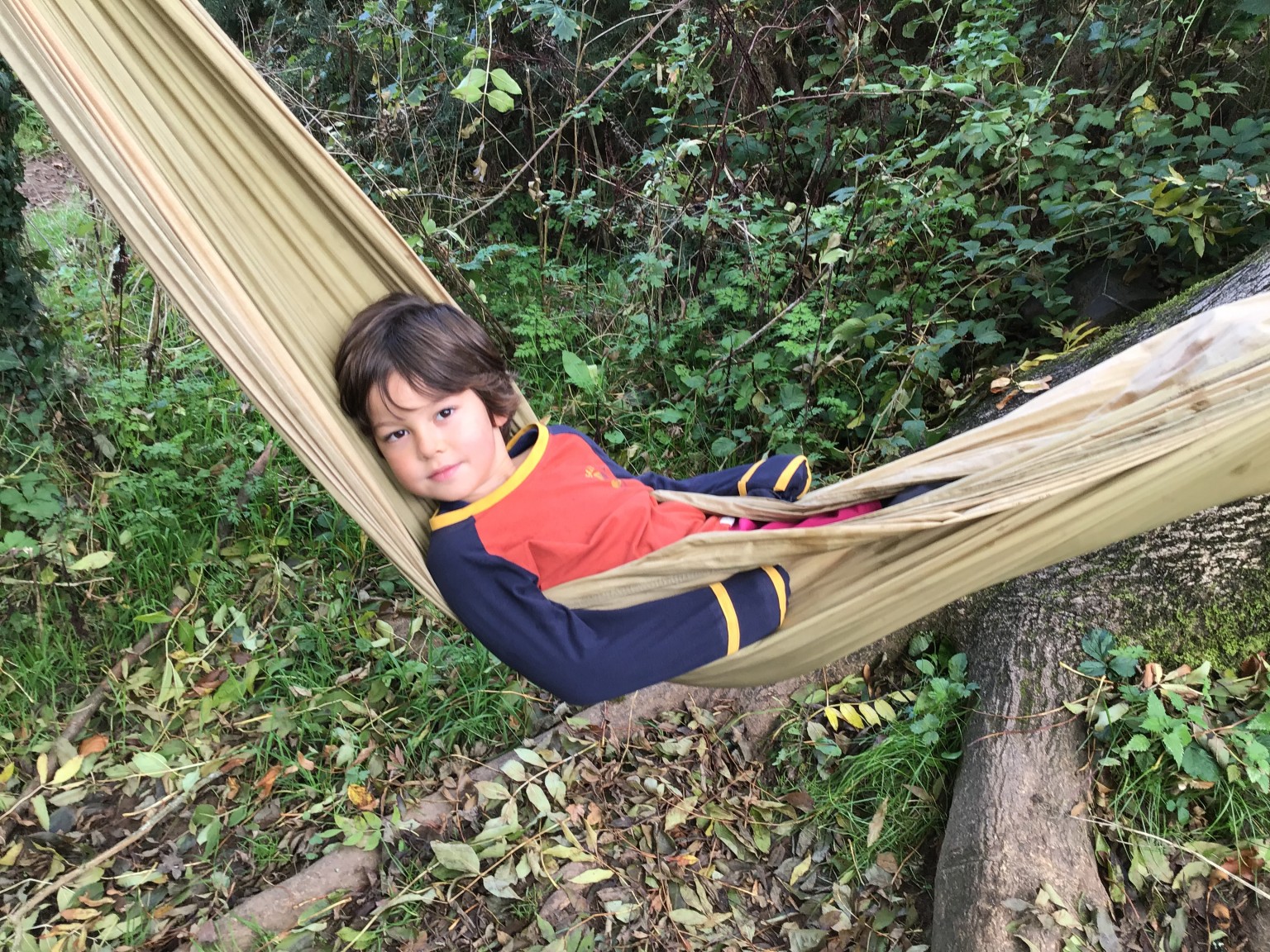 Forest school