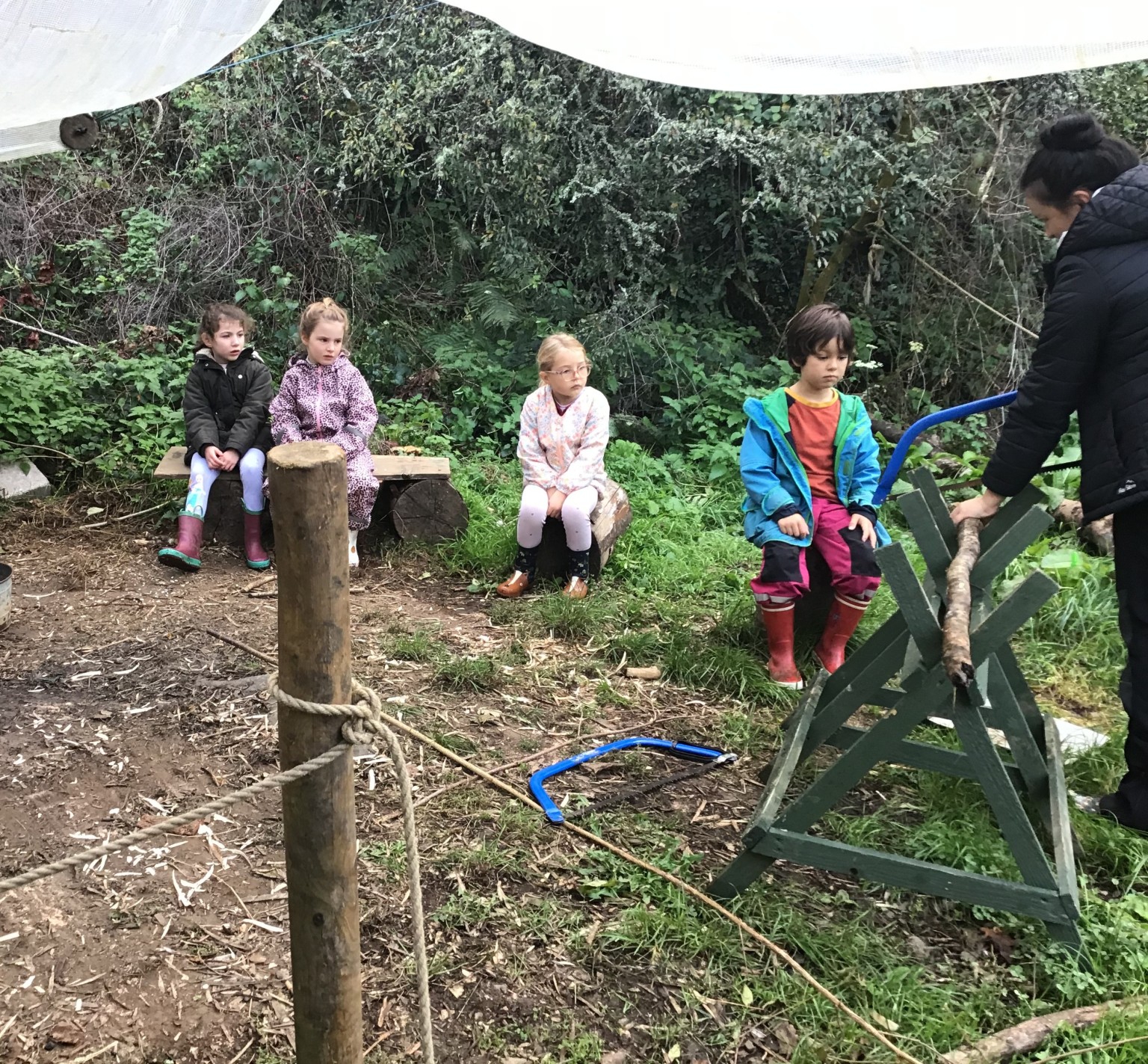 Forest school