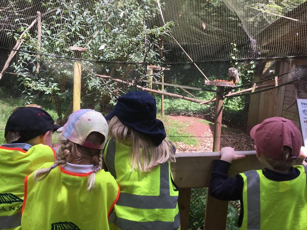 Class One had the most wonderful day at Paignton Zoo furthering their 'Understanding of the World' learning!