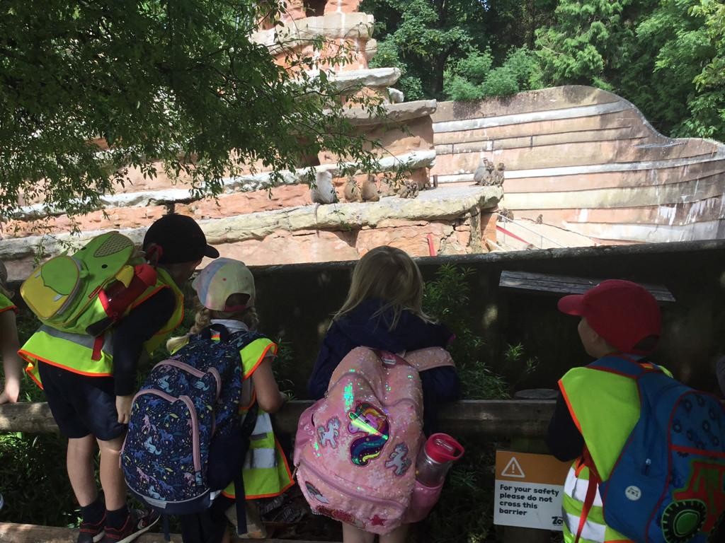 Class One had the most wonderful day at Paignton Zoo furthering their 'Understanding of the World' learning!