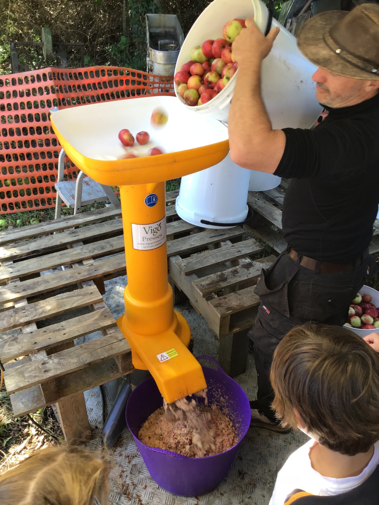 apple picking 2025