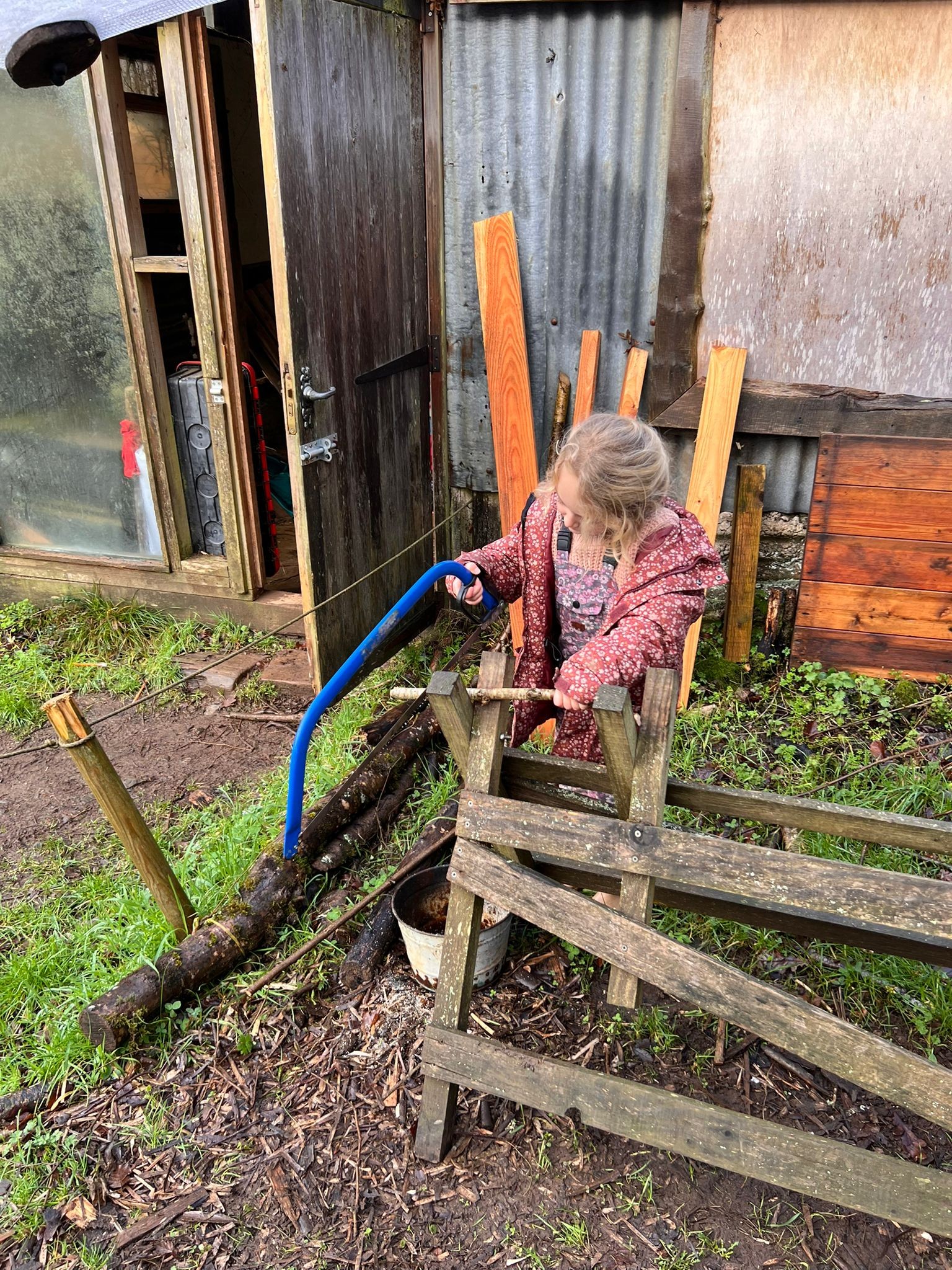 Forest School