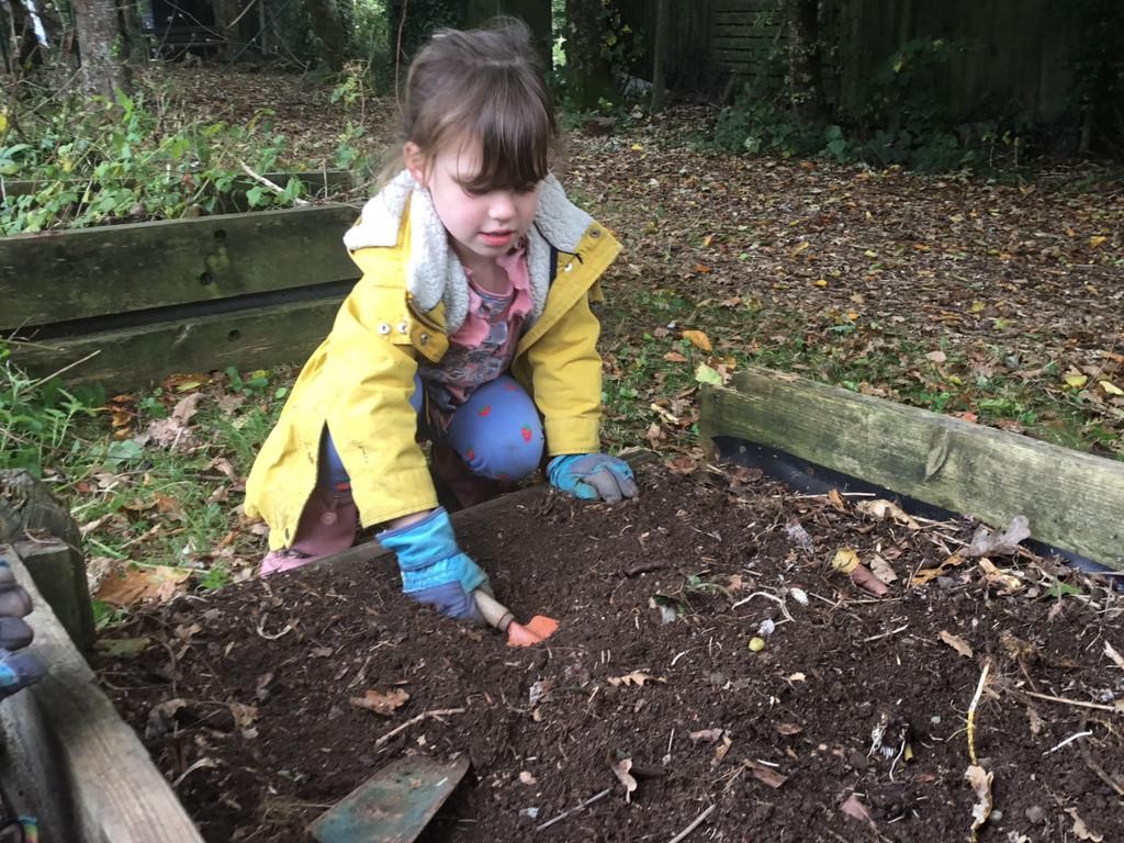 In their Outdoor Explorers learning, Class One have been exploring the woodland environment and they have been planting daffodil bulbs.