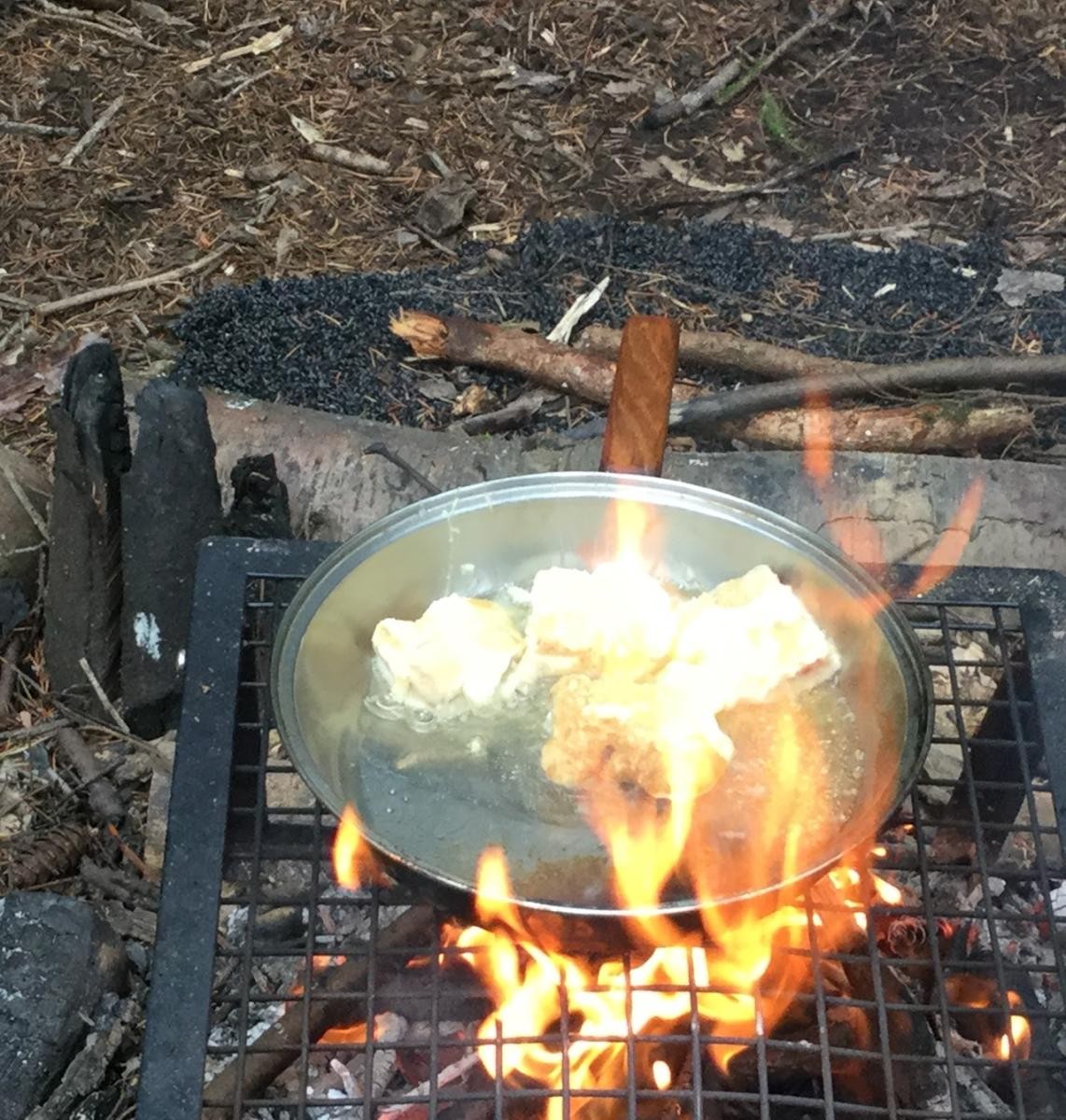 We learn what we can safely forage and cook at Forest School. Hazel leaf cookies and wild garlic tempura are favourites!