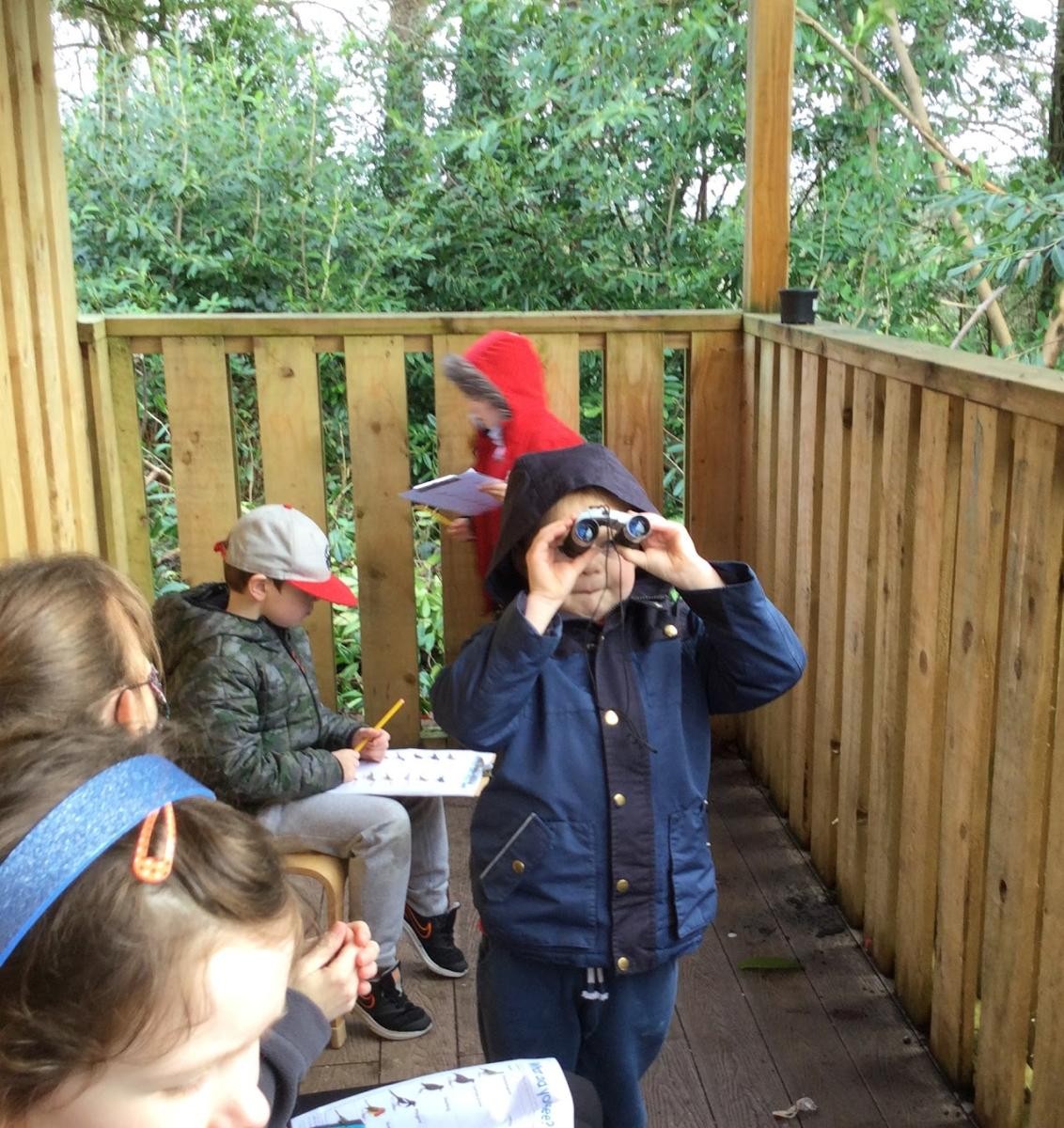 Taking part in 2021 RSPB Big Garden Birdwatch. our new bird boxes have a blue tit family this year!