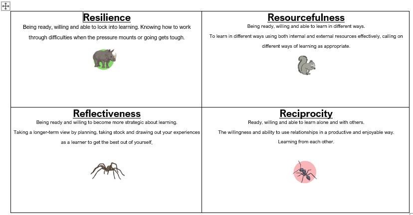 BLP- Building Learning Power