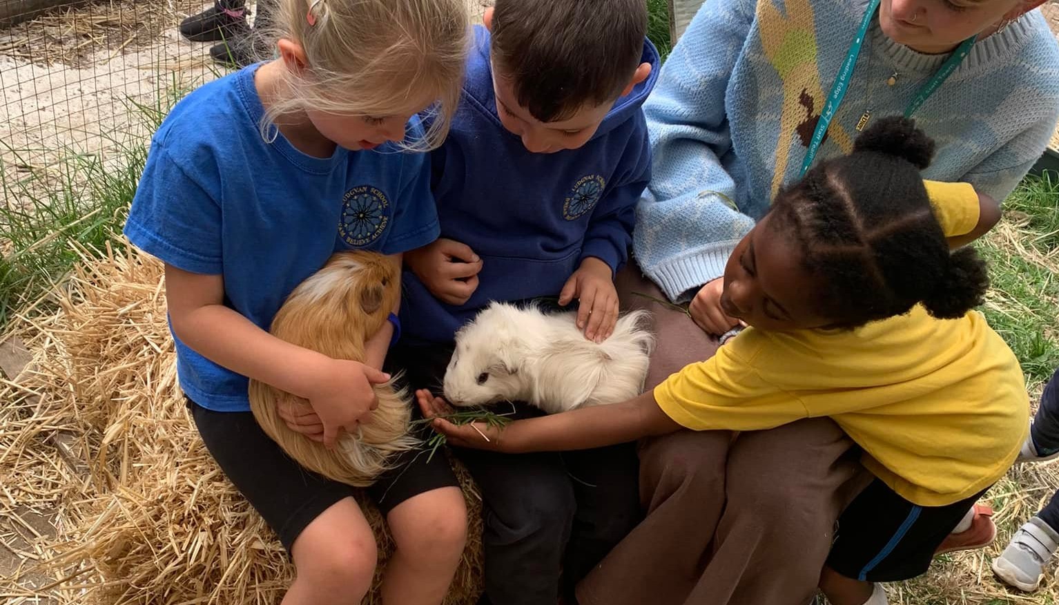 Children holding guinea pigs