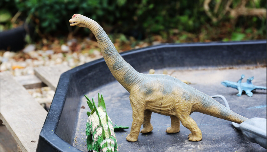 Dinsaurs