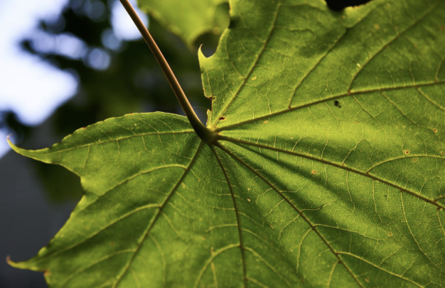  Admissions, Fees & Funding