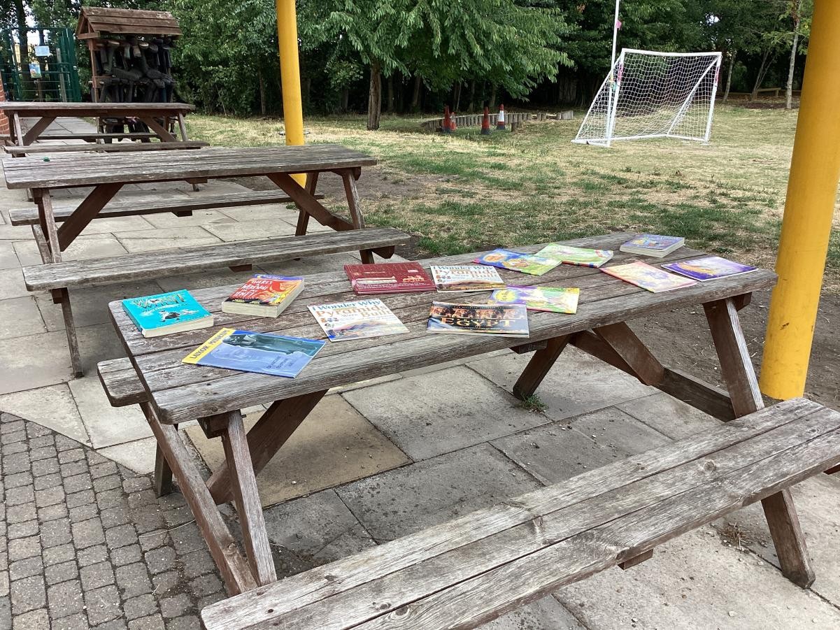 Reading for pleasure