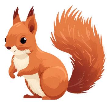 Red squirrel
