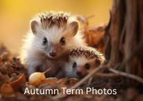 Autumn Term Photos