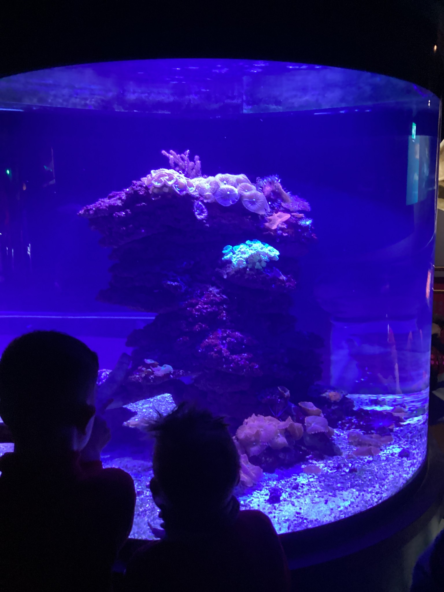 Our view from the lift! 