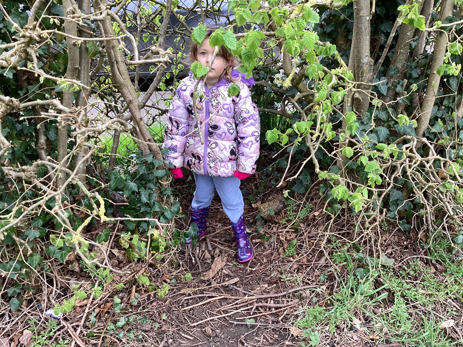 Forest school