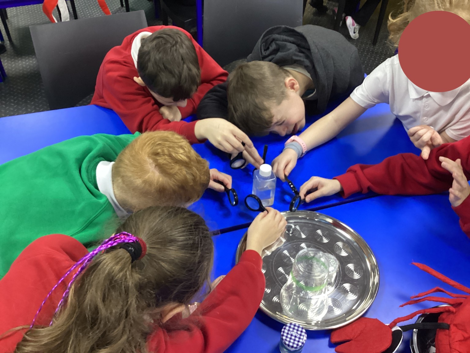 Watching plankton swim around. 