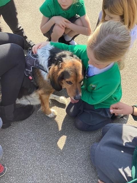 Arlo enjoying his lunchtime walk and cuddles 