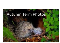 Autumn Term Photos