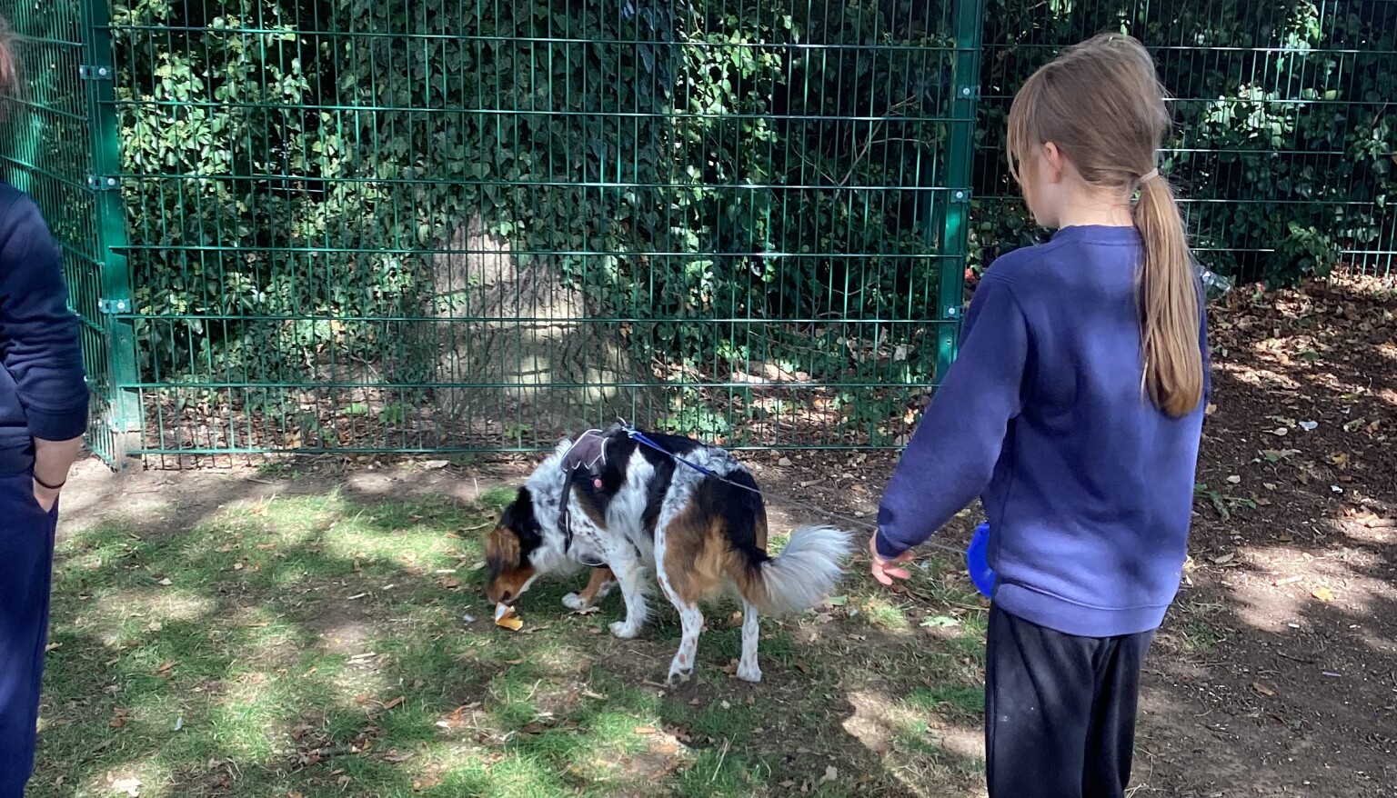 Walking Arlo