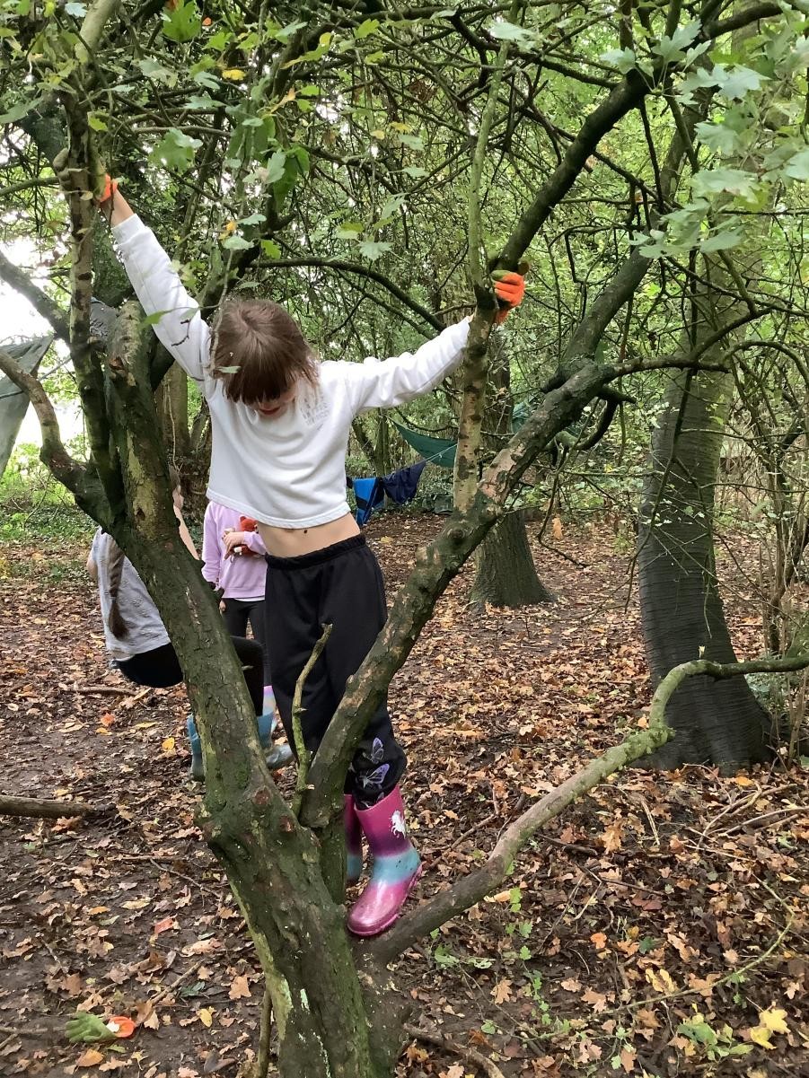 Autumn Term