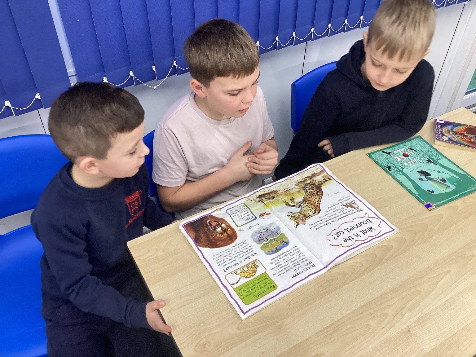 Shared Reading with Rabbits