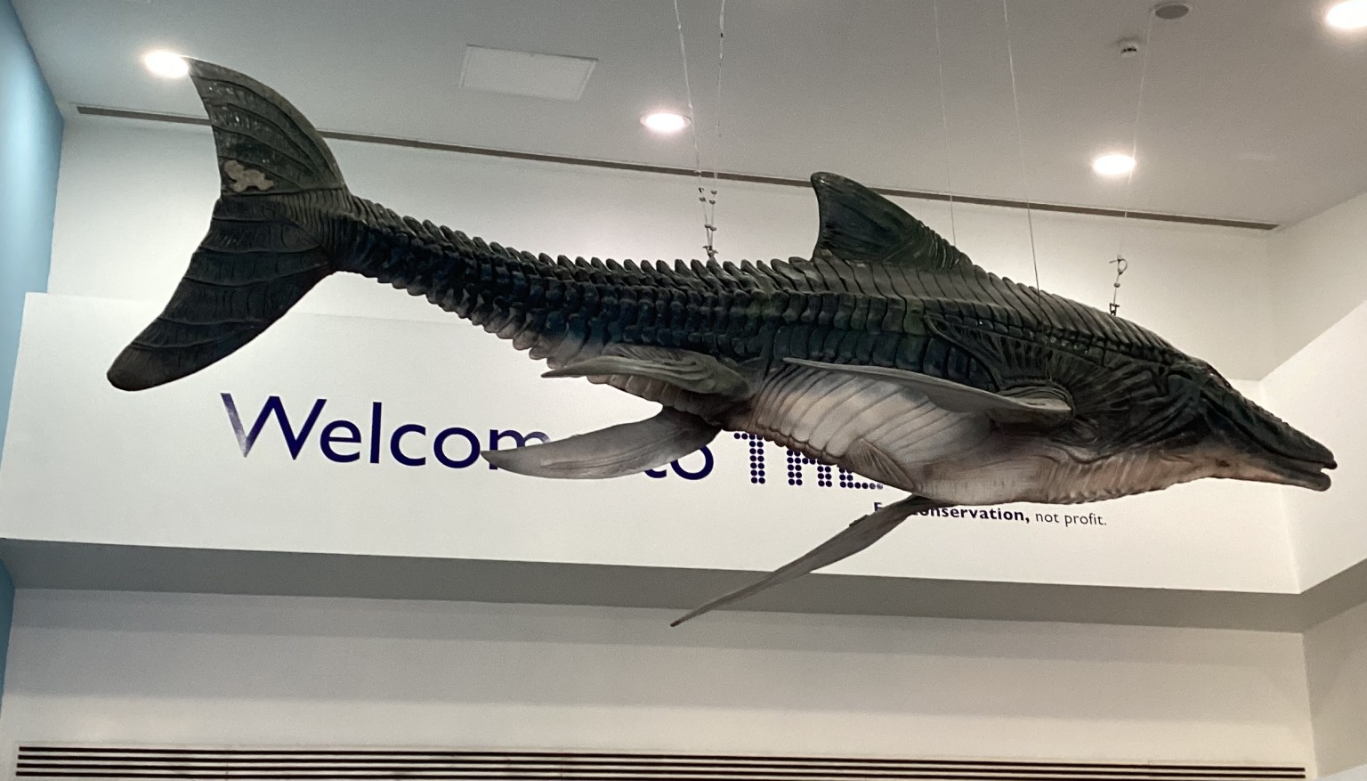 Deep 2026 - Amazed by the scences