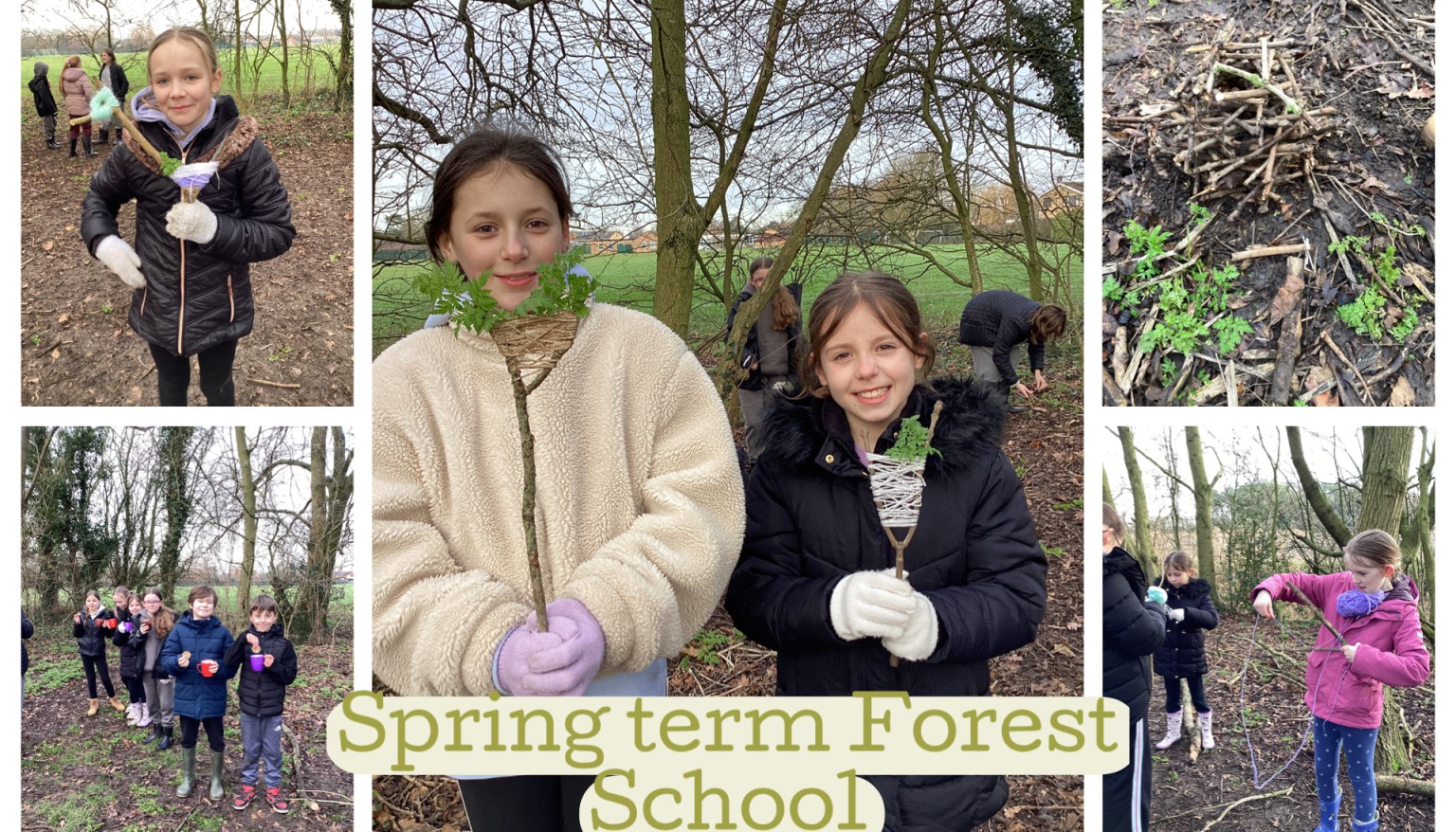 Forest School