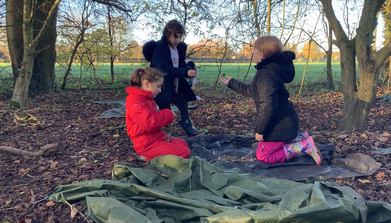 Autumn Term