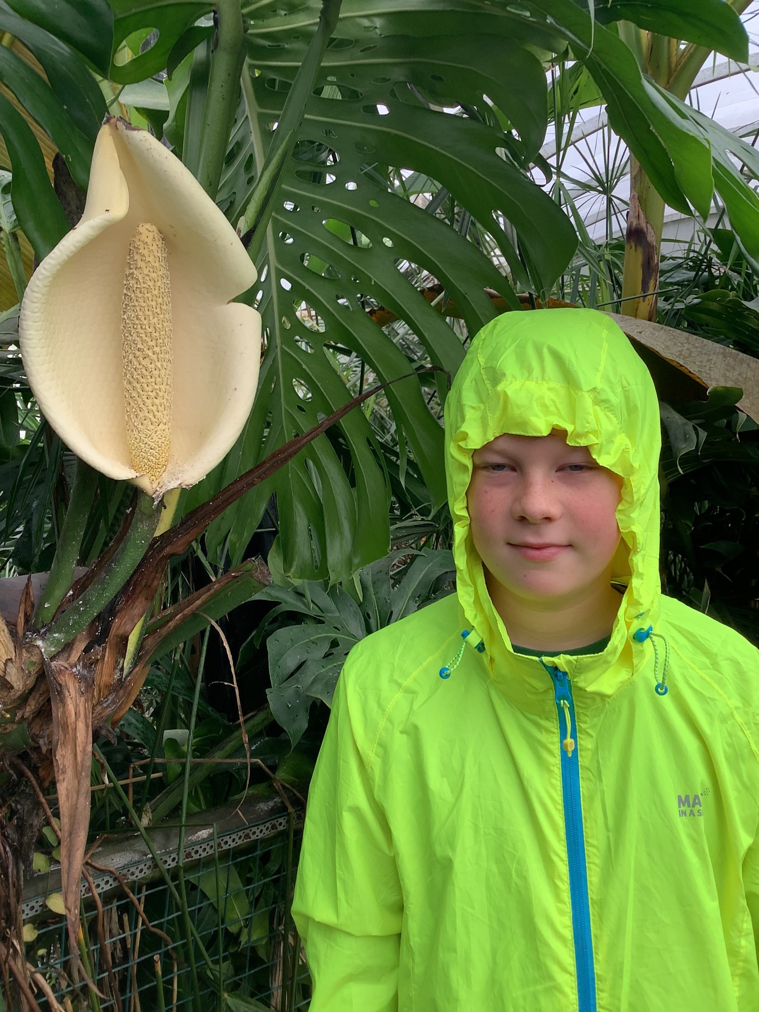 We explored the Amazon rainforest at Amazona.
