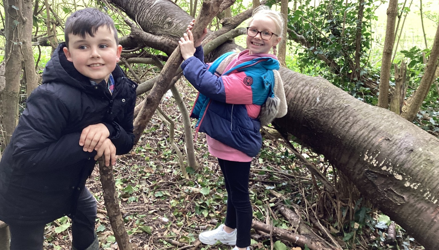 Having fun in the forest