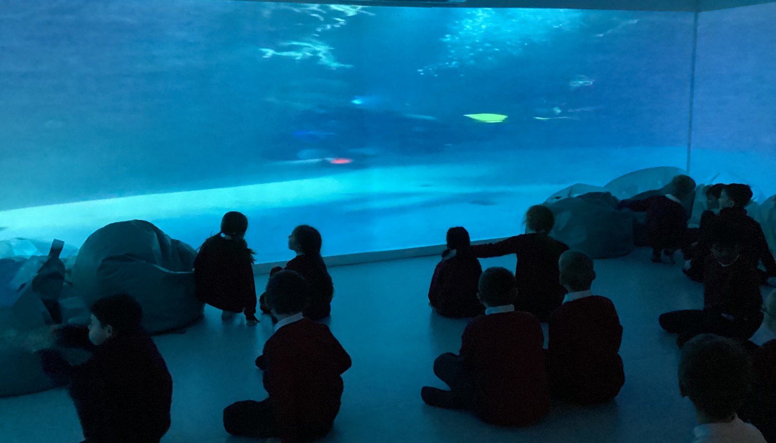 Inspiration for our thematic poetry