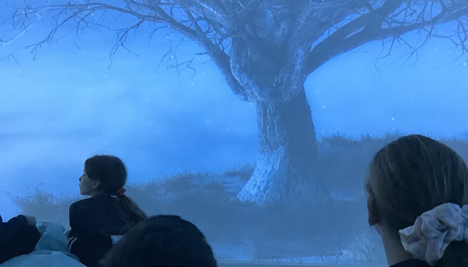 We used the immersive suite to build our voacbularly in preparation for writing a setting description.