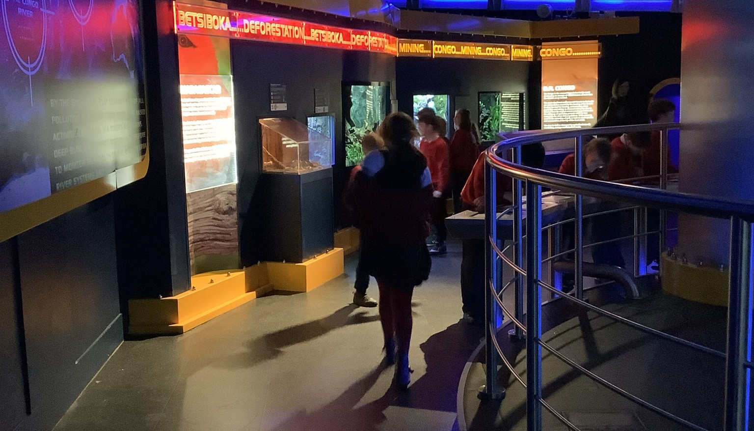 Our trip to The Deep to support our Blue Planet and Living Things topics.