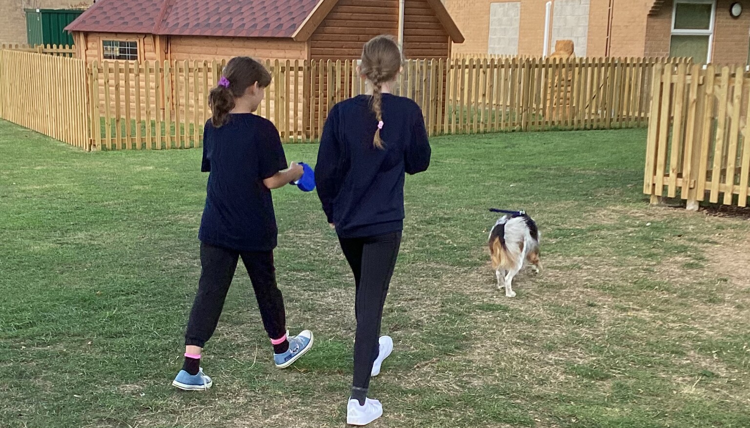 Walking Arlo