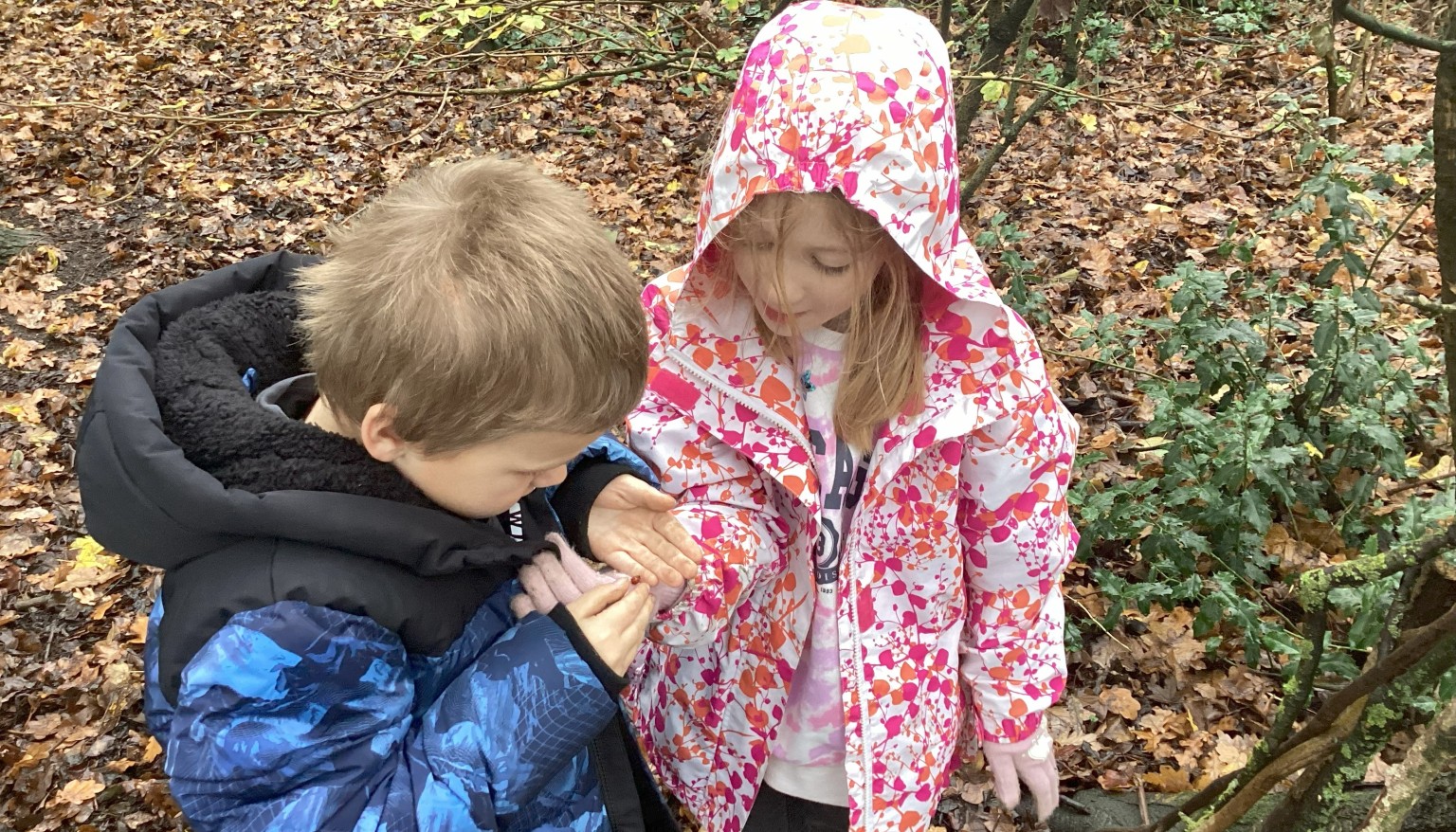 Forest School