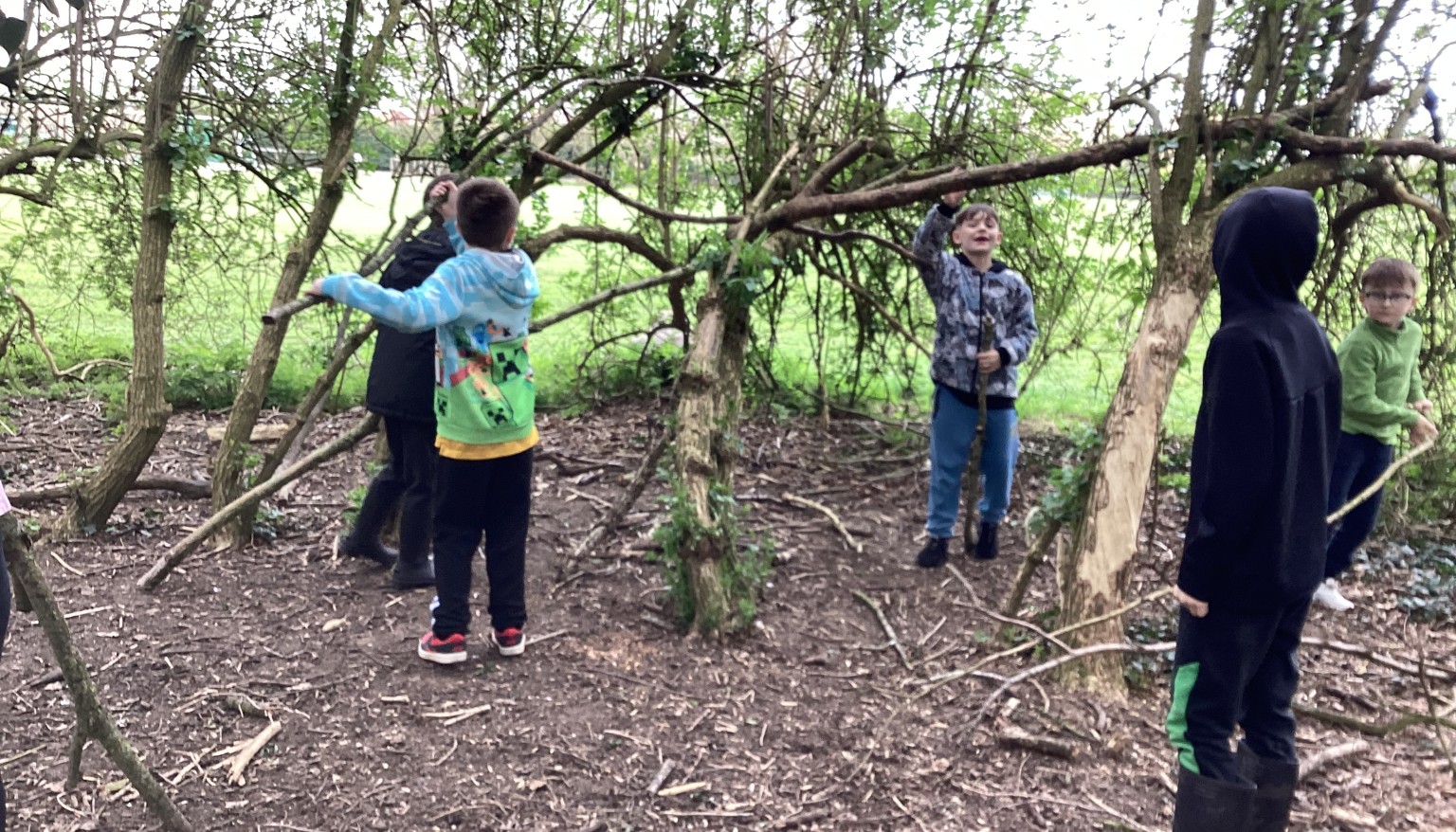Having fun in the forest