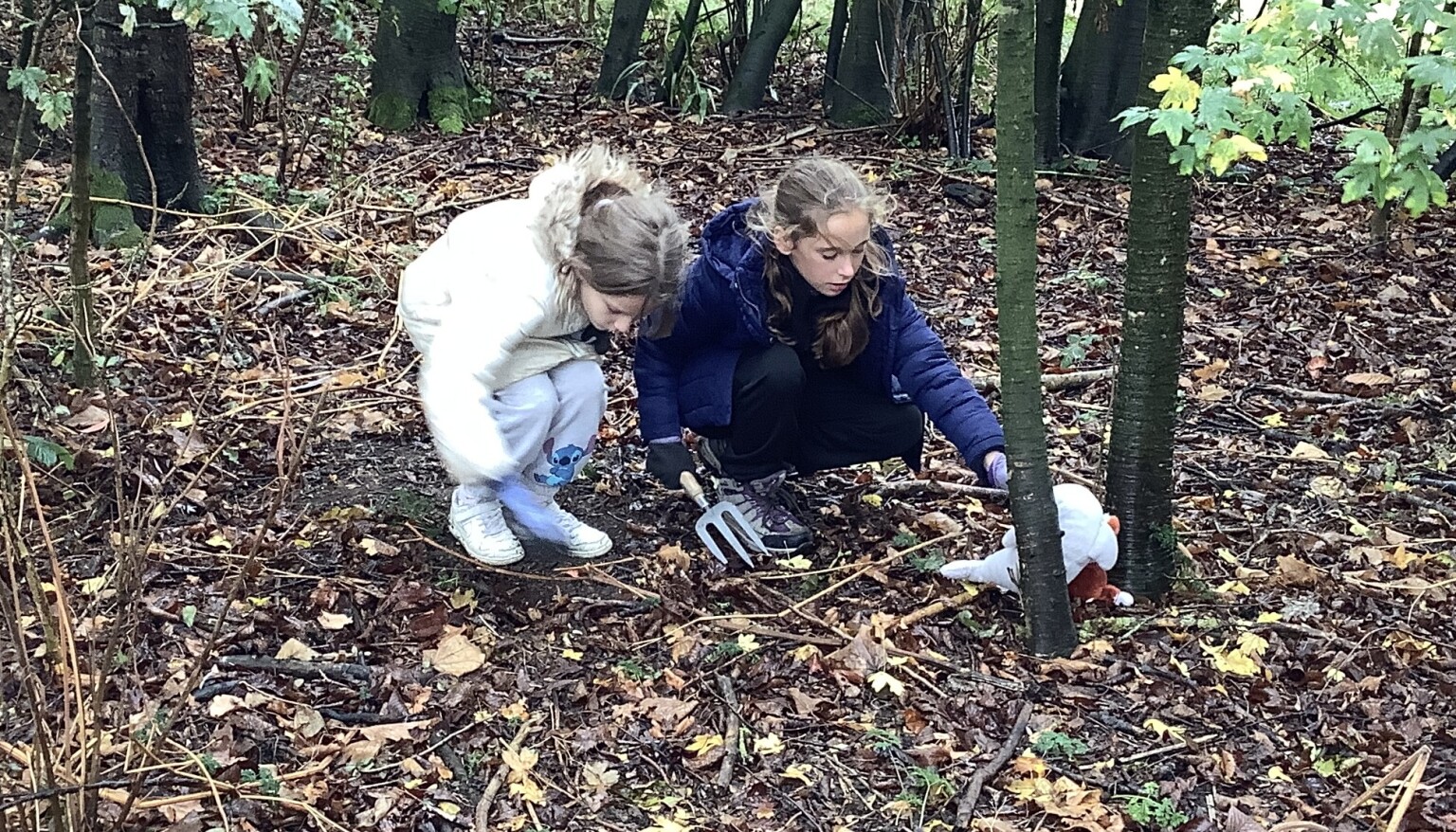 Autumn Term