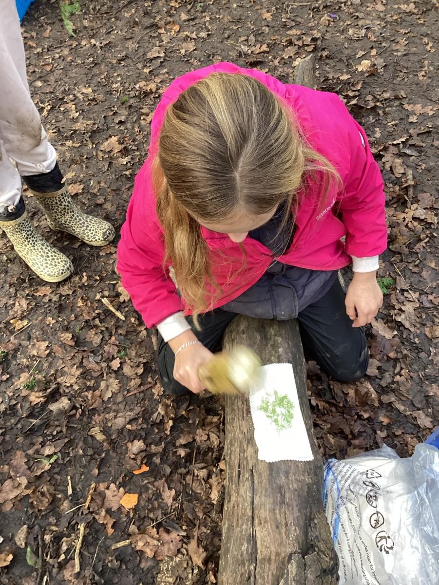 Leaf printing 