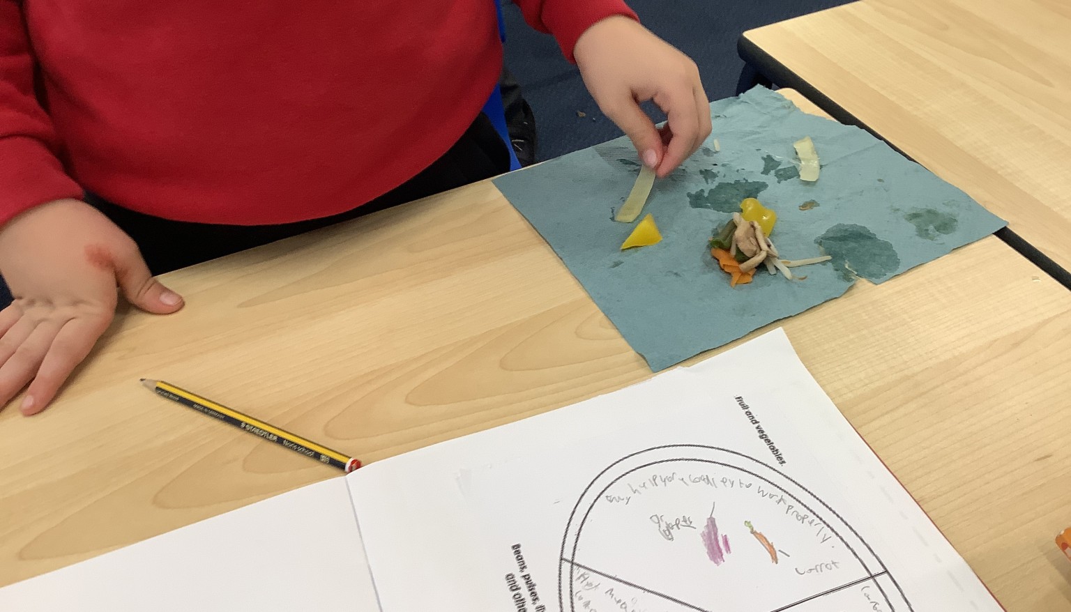 We tasted vegetables in DT in preparation for making a stirfry! 