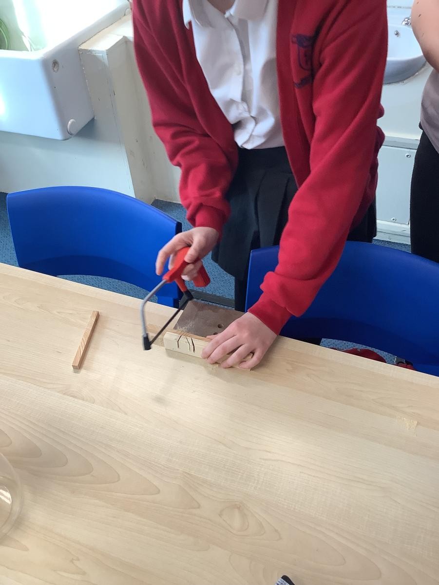 We explored different ways of using saws to chop wood.